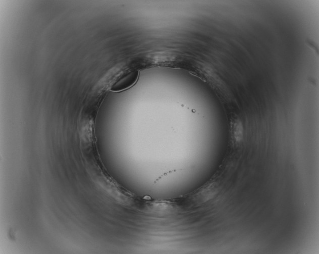 X0000103440475200809191729