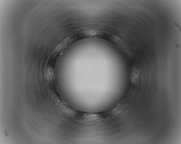 X0000103440476200809191729