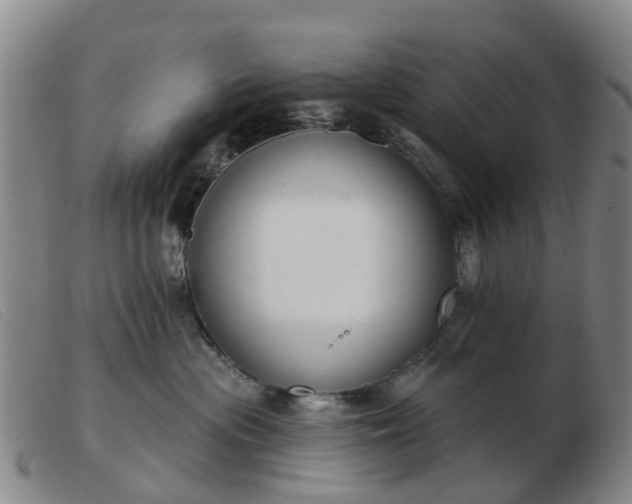 X0000103440477200809191729