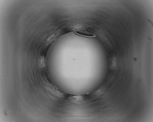 X0000103440478200809191729