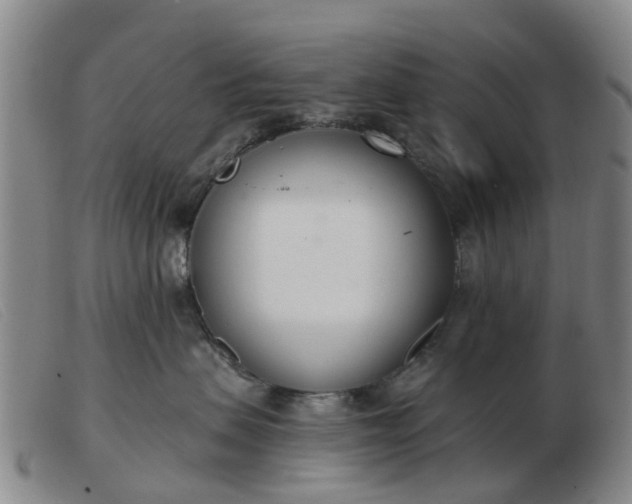 X0000103440479200809191729