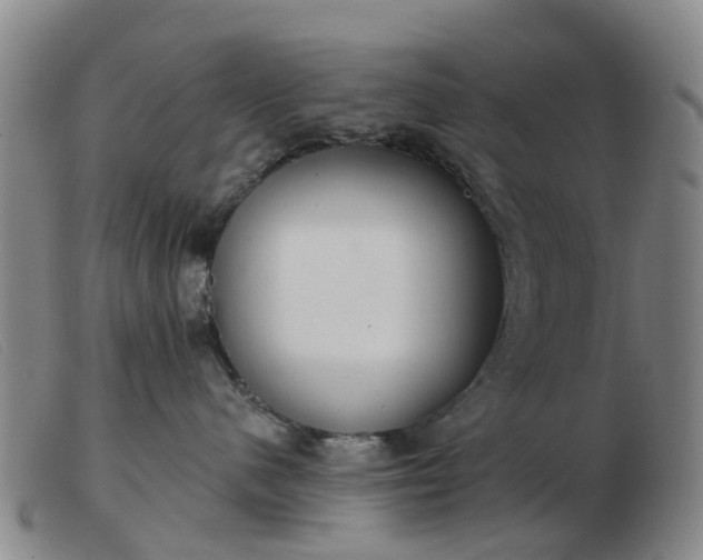 X0000103440480200809191729
