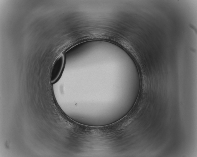 X0000103440481200809191728