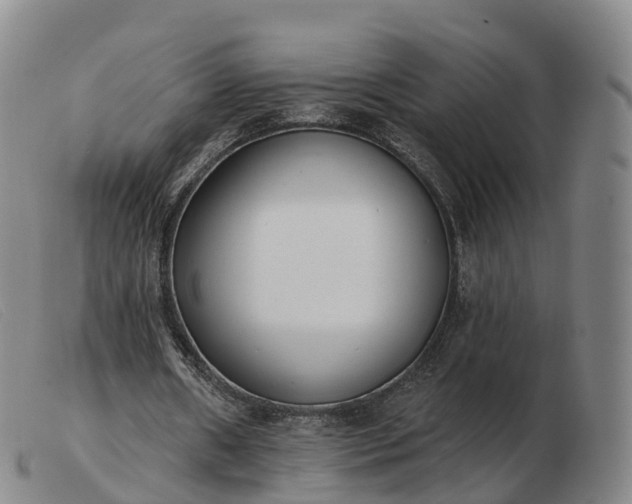 X0000103440482200809191728