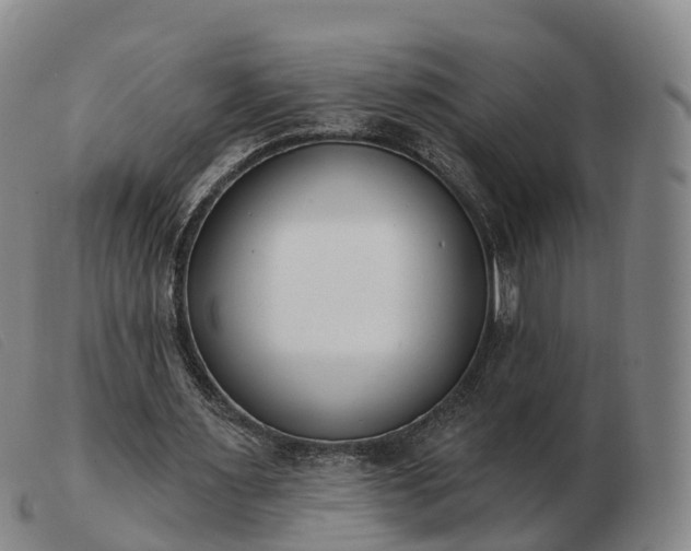 X0000103440483200809191728