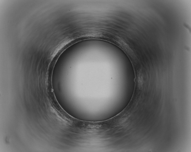 X0000103440484200809191728
