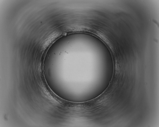 X0000103440485200809191728