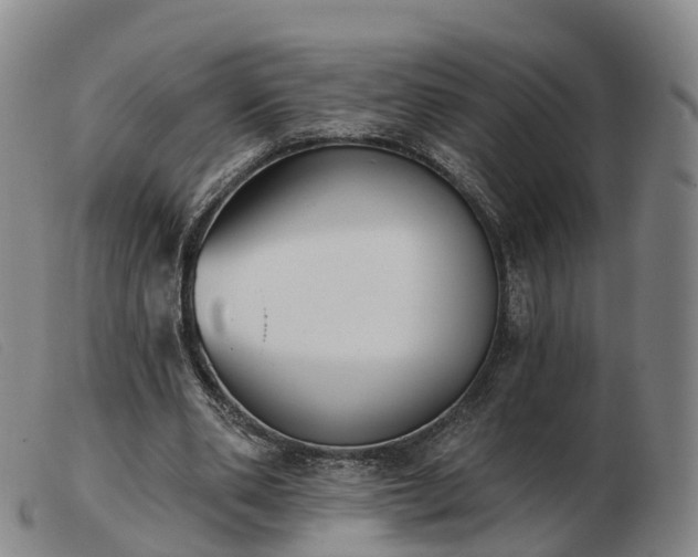 X0000103440486200809191728
