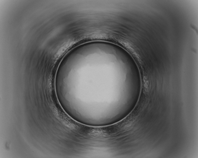 X0000103440487200809191728