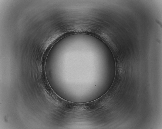 X0000103440488200809191728