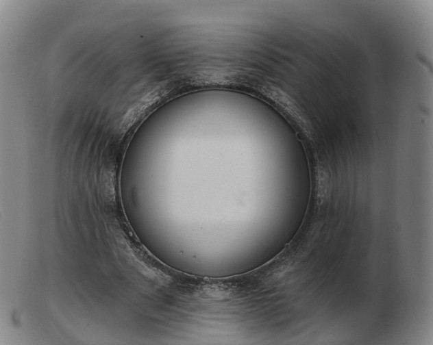 X0000103440489200809191728