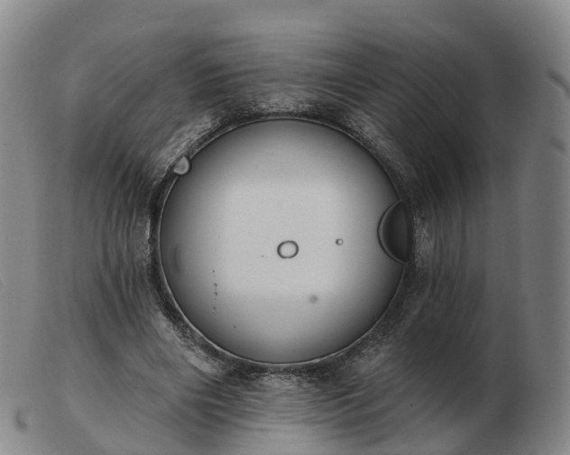 X0000103440490200809191728