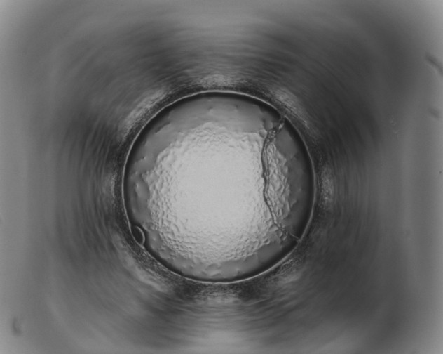 X0000103440491200809191728
