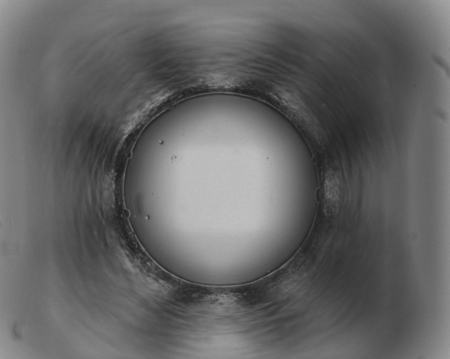 X0000103440492200809191728