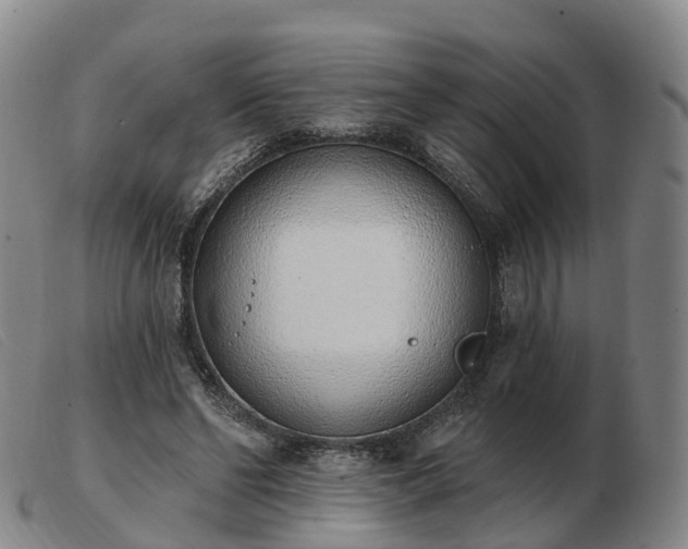 X0000103440494200809191728