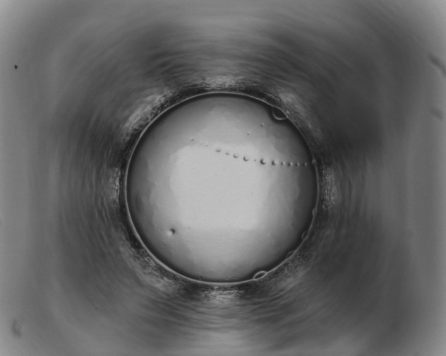 X0000103440495200809191728