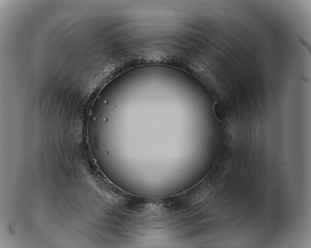 X0000103440496200809191728