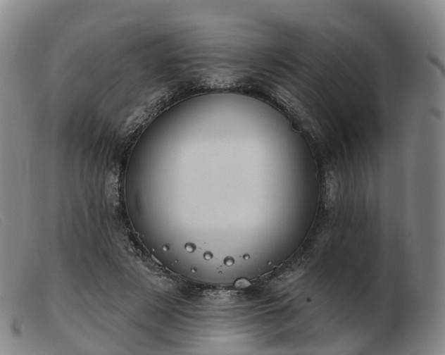 X0000103440497200809191728