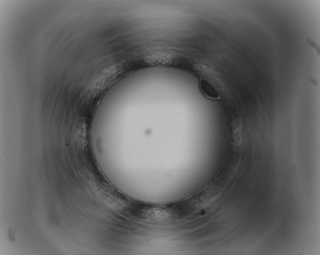 X0000103440498200809191728