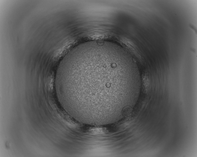 X0000103440499200809191728