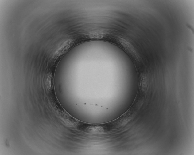 X0000103440501200809191728