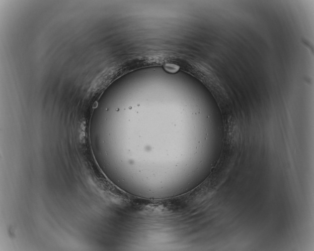 X0000103440502200809191728