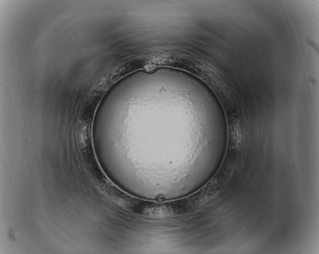 X0000103440503200809191728