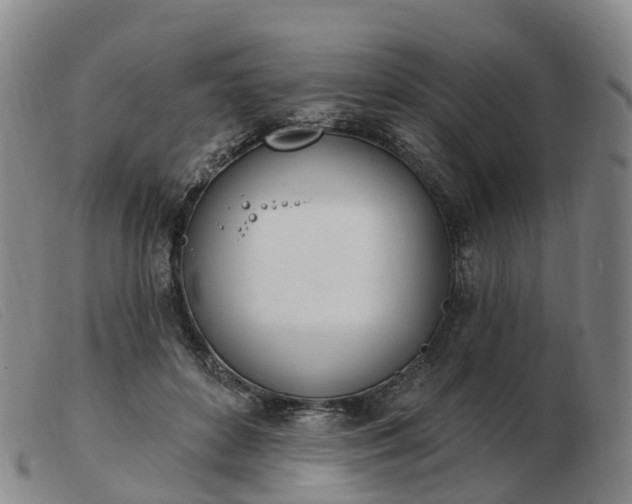 X0000103440504200809191728