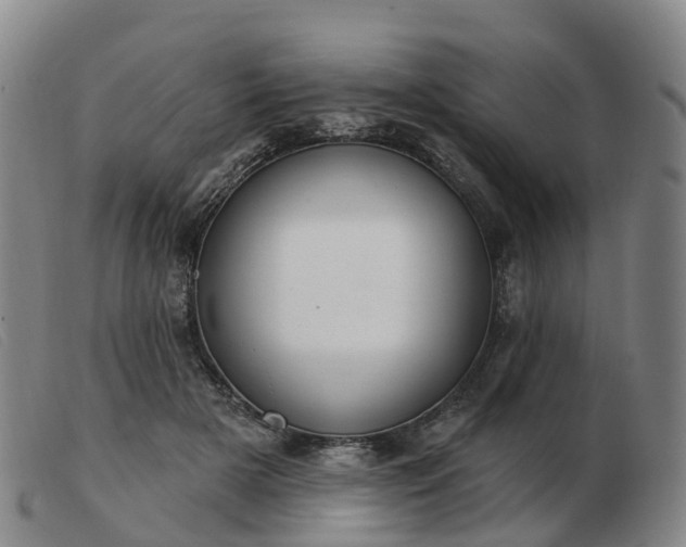 X0000103440505200809191728