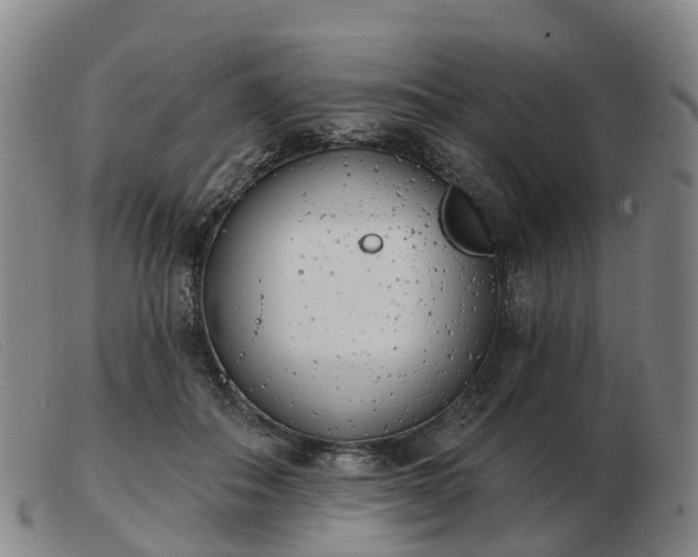 X0000103440506200809191728