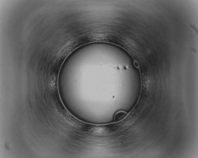 X0000103440507200809191728