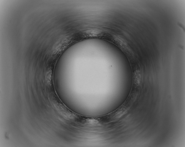 X0000103440509200809191728