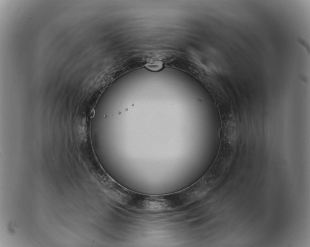X0000103440510200809191728