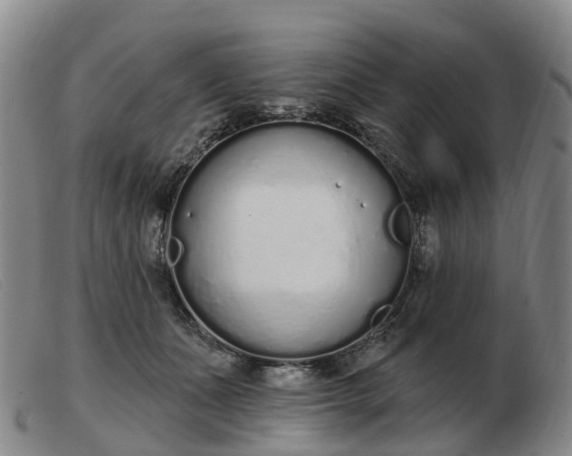 X0000103440511200809191728