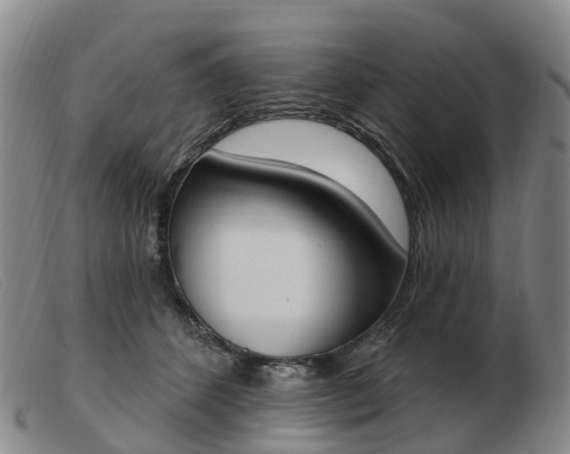 X0000103440512200809191728