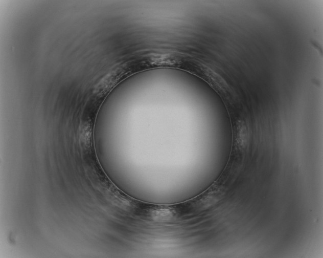 X0000103440513200809191728
