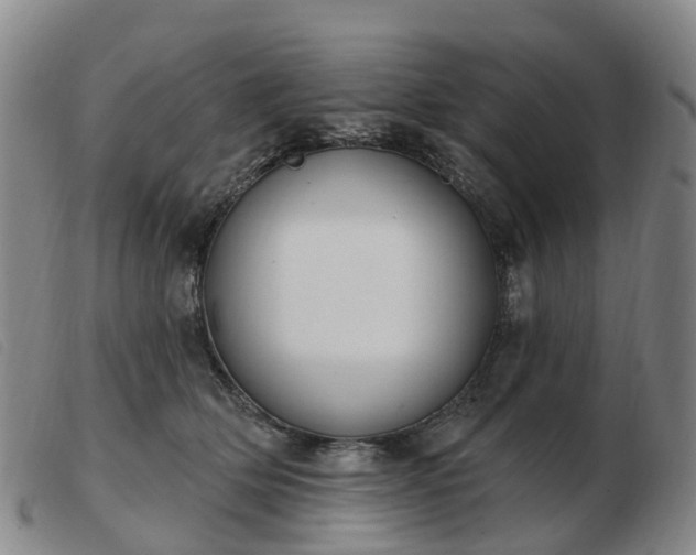 X0000103440514200809191728