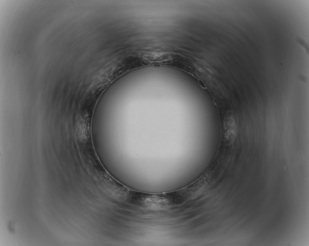 X0000103440515200809191728