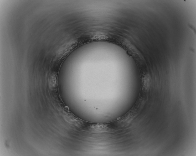 X0000103440517200809191728
