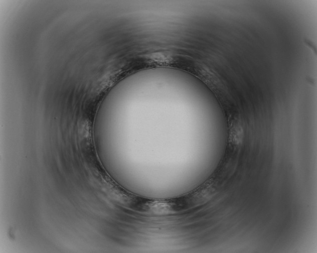 X0000103440518200809191728