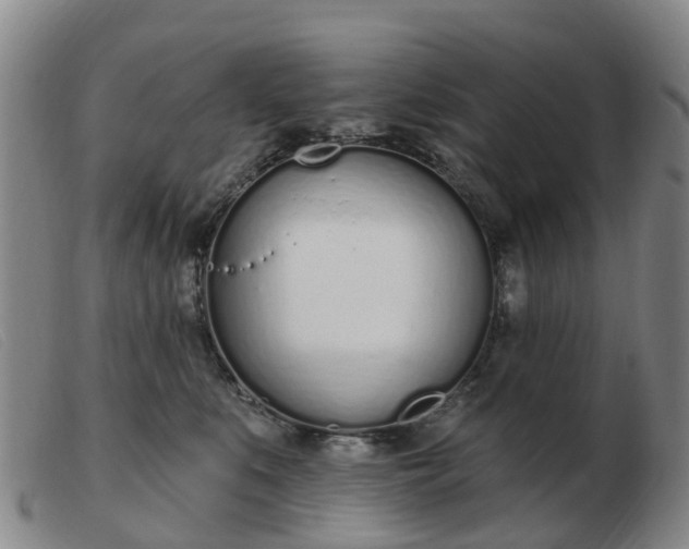 X0000103440519200809191728