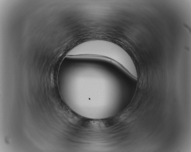 X0000103440520200809191728