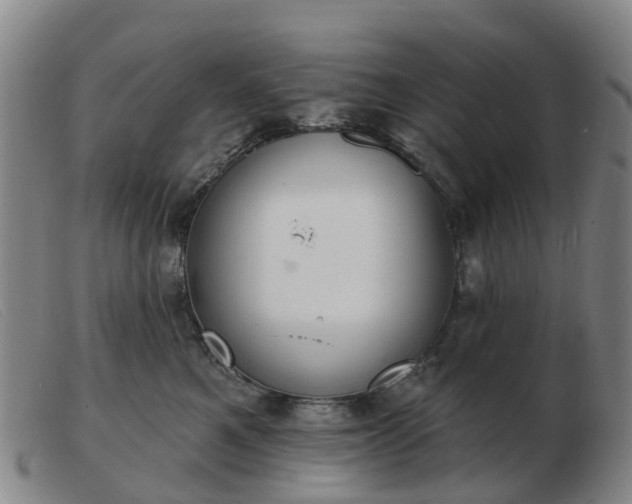X0000103440521200809191728