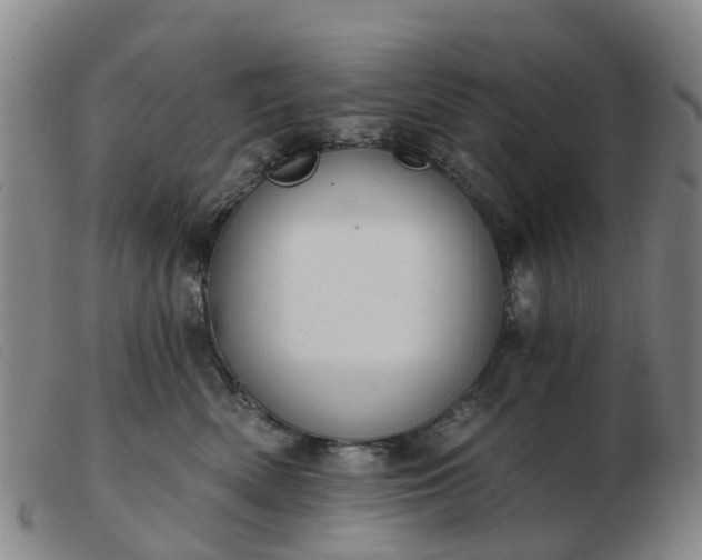X0000103440522200809191728
