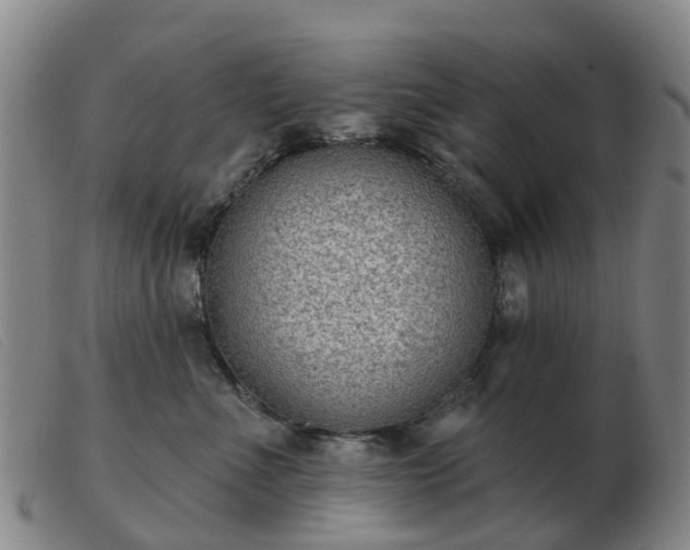 X0000103440523200809191728