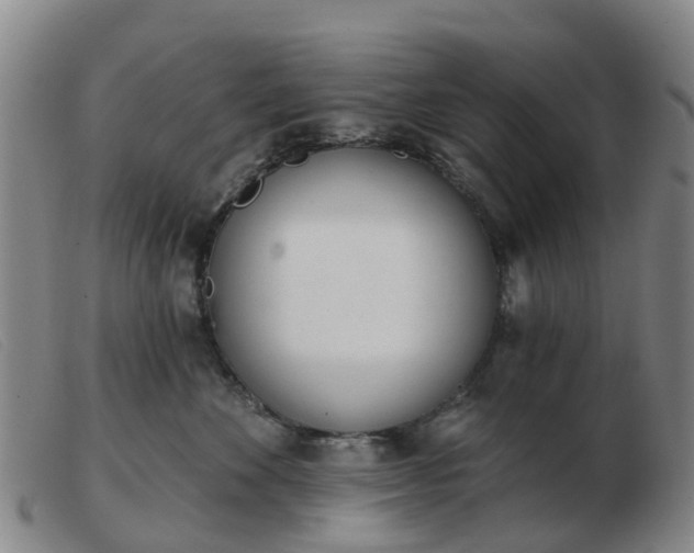 X0000103440524200809191728