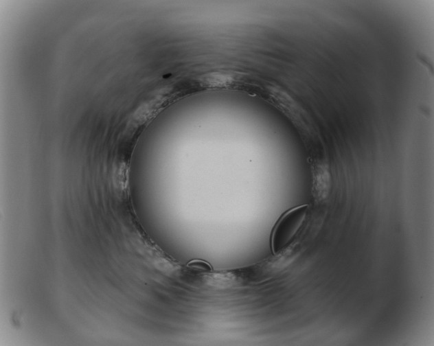 X0000103440525200809191728