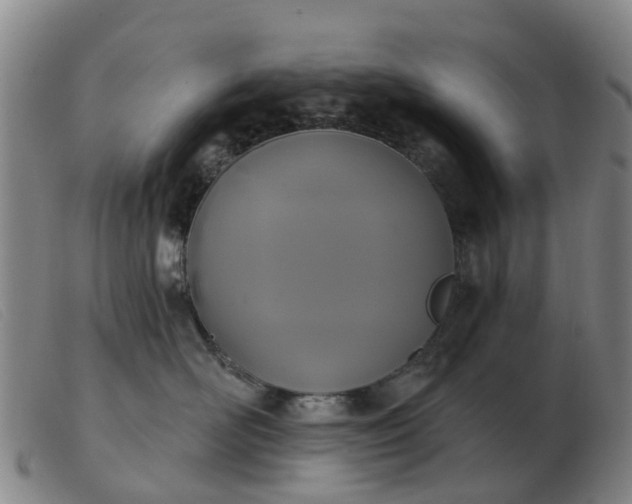 X0000103440526200809191728