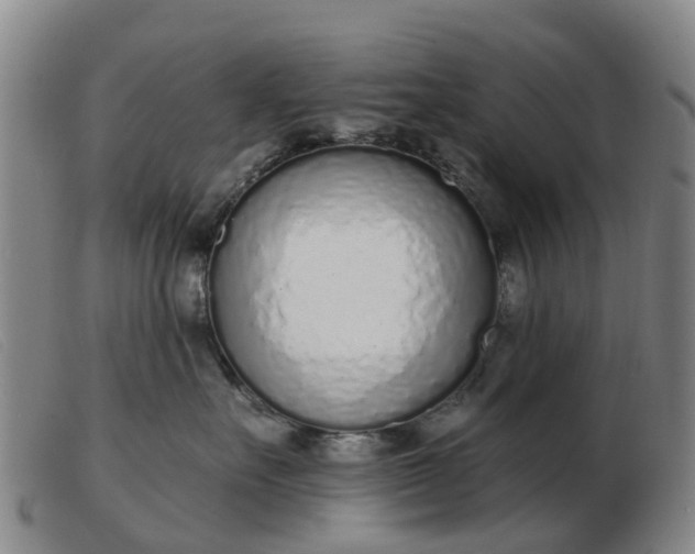 X0000103440527200809191728
