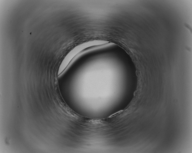 X0000103440528200809191728